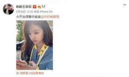 王乐乐主持人的爆料视频,爆料视频背后的惊人真相