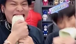 小杨哥爆料日常视频大全,揭秘生活百态，笑料横生